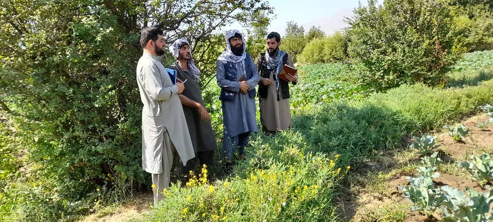 شناسایی و انتخاب مستفدین احداث ۱۰ باب سبزخانه در ولایت پروان