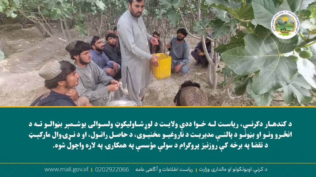 د ورځ مهمی خبری