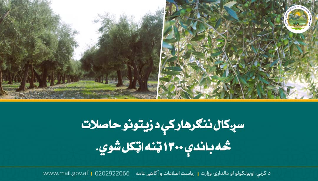 د ورځ مهمی خبری