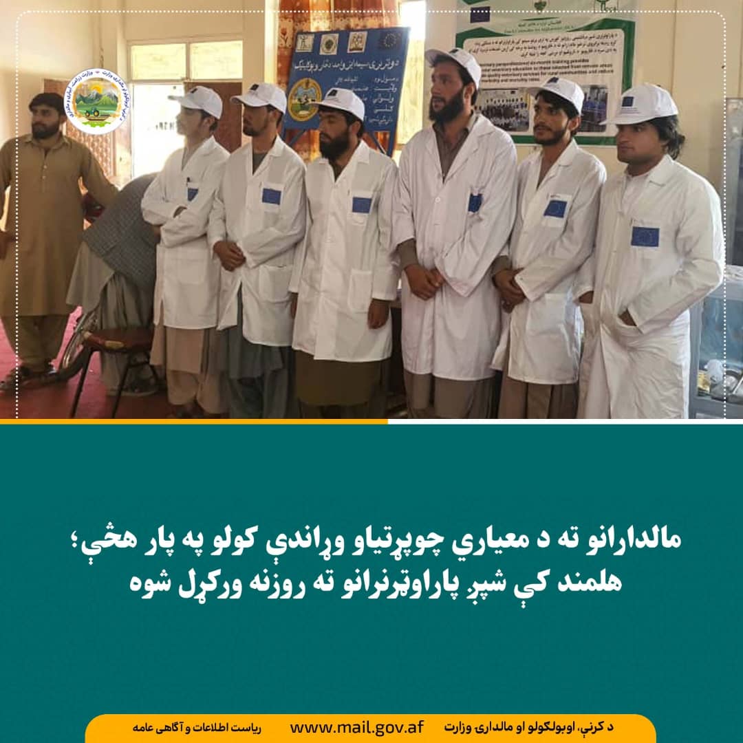 د ورځ مهمی خبری