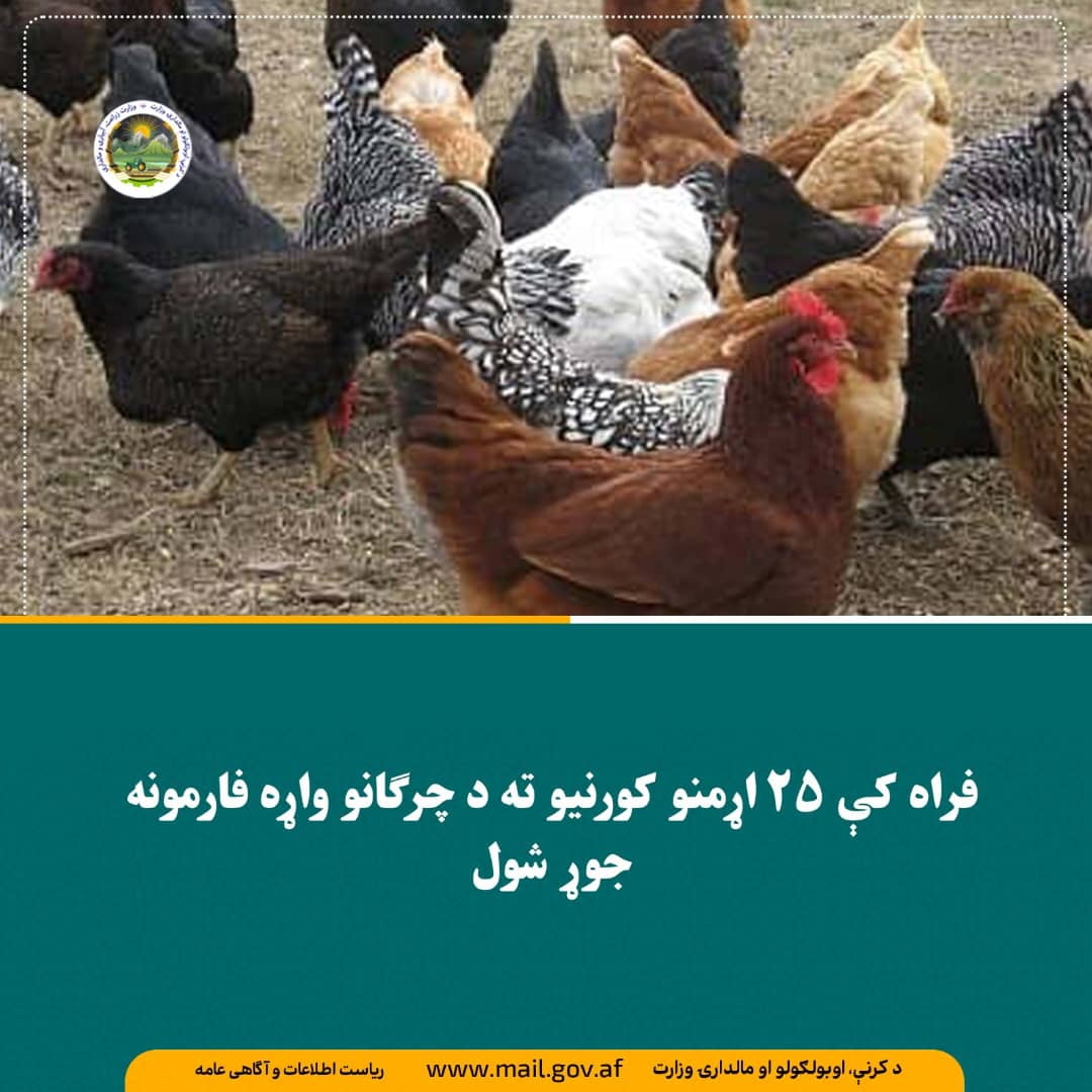 د ورځ مهمی خبری