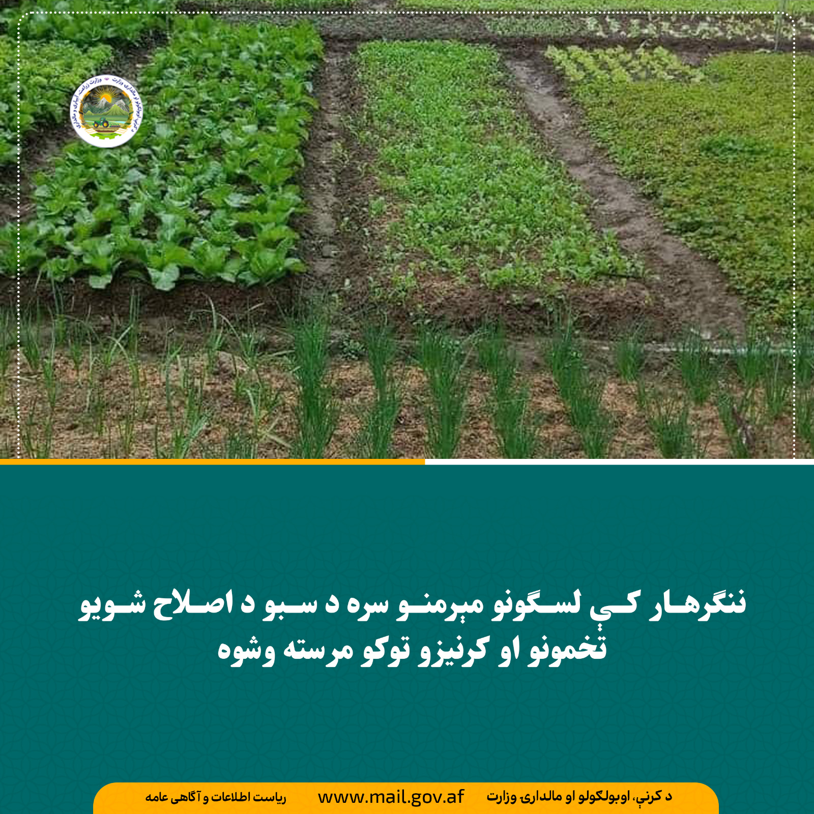 د ورځ مهمی خبری