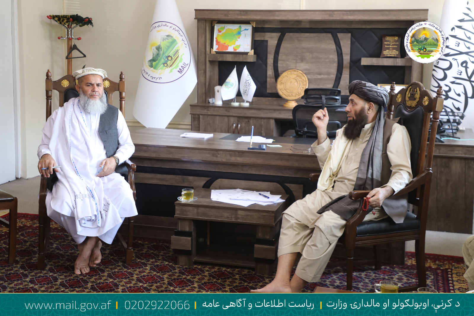 د کرنې او مالدارۍ مرستیال د افغانستان د چرګانو ټولنې له غړو سره وکتل