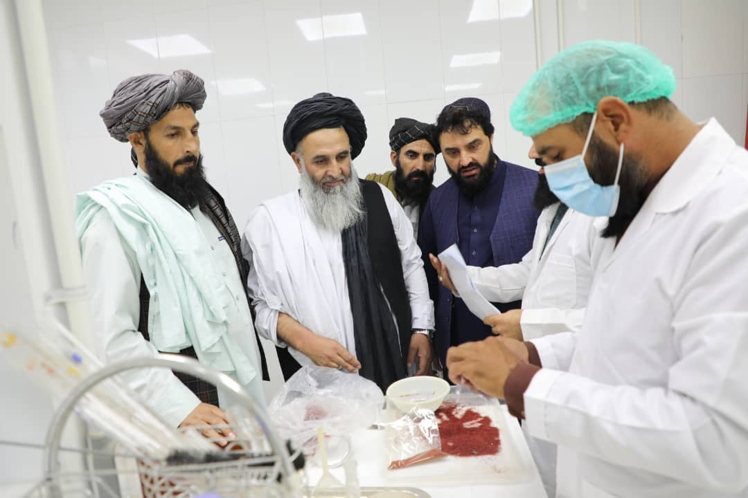بازدید معین مالی و اداری وزارت زراعت از سه لابراتوار زراعتی و حیوانی در هرات