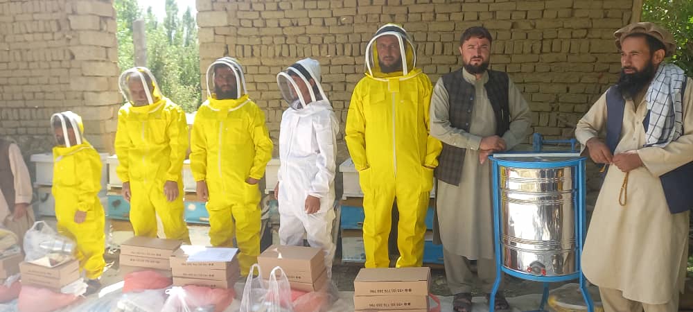 توزیع صندوق زنبور عسل و وسایل زنبور پروری برای ۳۶۵ نفر در ۸ ولسوالی ولایت بدخشان