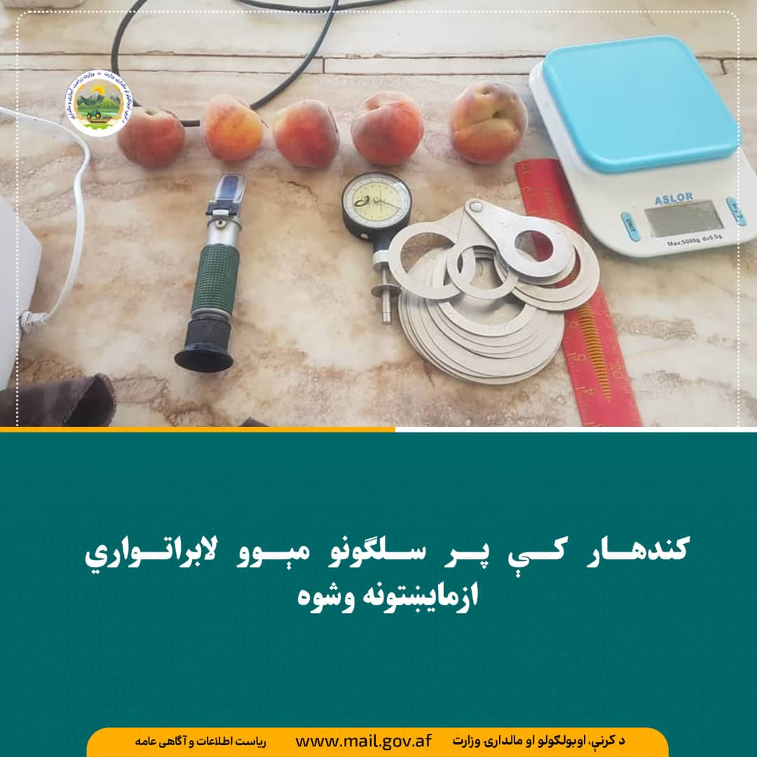 د ورځ مهمی خبری