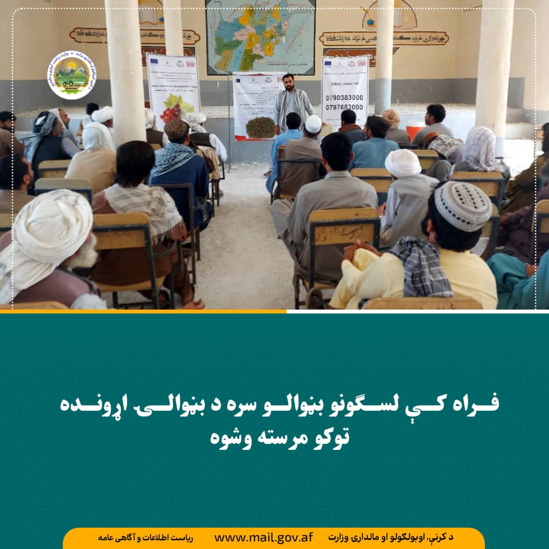 د ورځ مهمی خبری