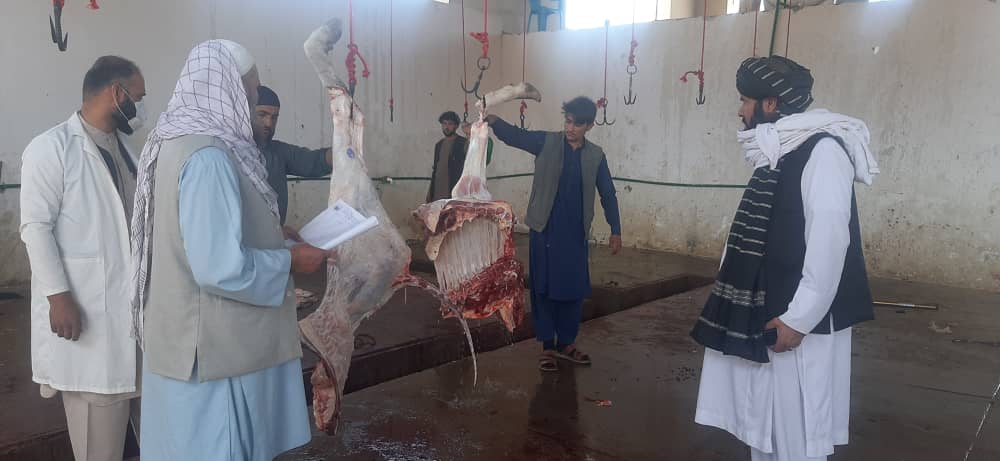کشتارگاه دولتی حیوانات در ولایت لوگر پس از ترمیم فعال گردید