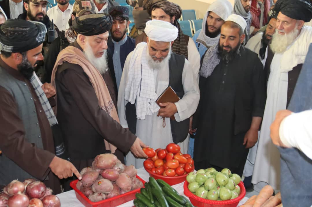 د بهرنیو چارو وزارت سیاسي مرستیال: د کرنیزو محصولاتو د صادراتو ستونزو د بنسټیز حل په موخه له ډيپلوماتیکو لارو چارو خبرې روانې دي