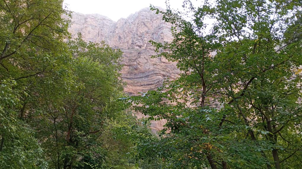 سروی و بررسی ساحات حفاظتشده در ولسوالی گرزیوان ولایت فاریاب