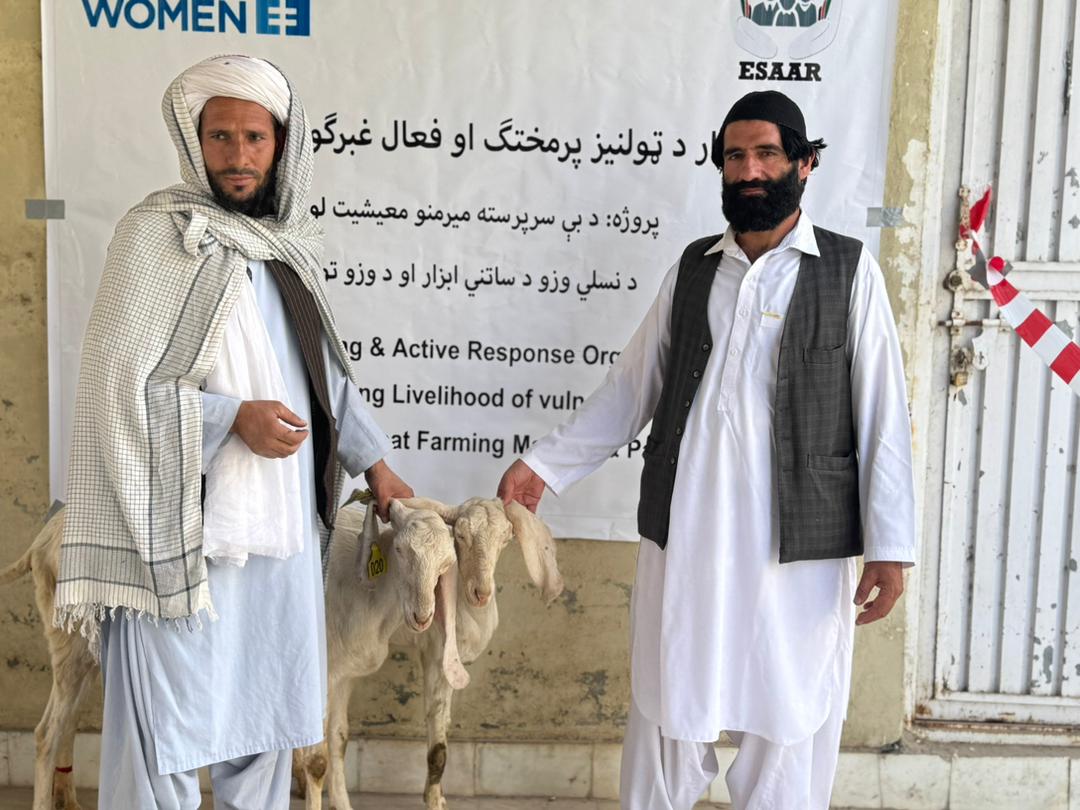 کندهار کې اړمنو کورنیو ته بلاربې وزې ووېشل شوې