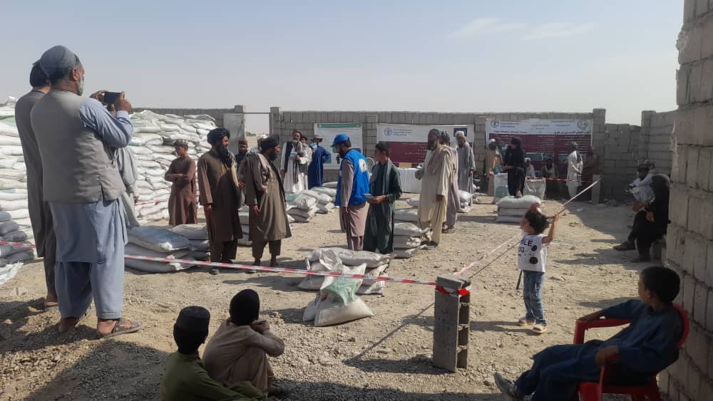 د فراه پشت رود کې پر سلګونو بزګرانو د عضوي سرې وېش لړی پیل شوه