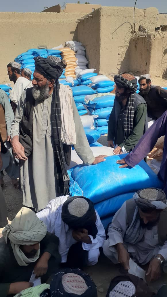 د کندهارارغستان کې پر لسګونو بزګرانو د غنمو اصلاح شوي تخم او کیمیاوي سرې ووېشل شوې