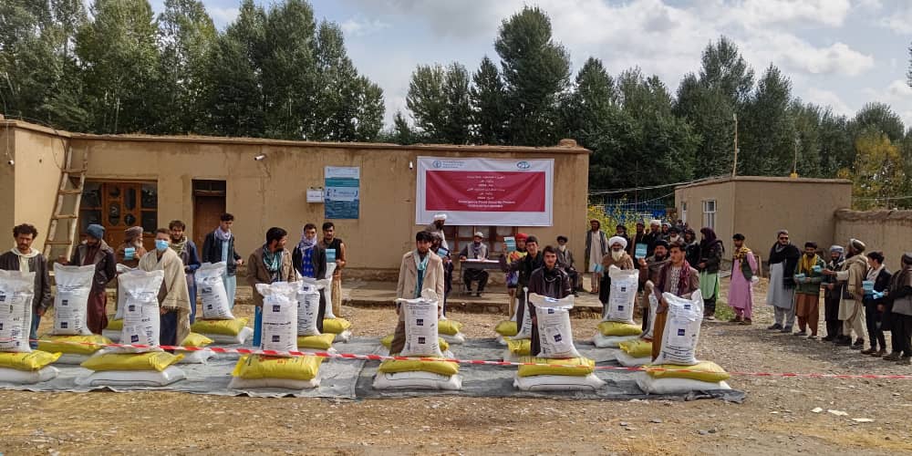 ریاست زراعت، آبیاری و مالداری ولایت غور میگوید در جریان یک هفته برای ۷ هزار ۵۰۰ دهقان در ۶ ولسوالی آن ولایت گندم اصلاح شده بذری و کود کیمیاوی توزیع شده است.