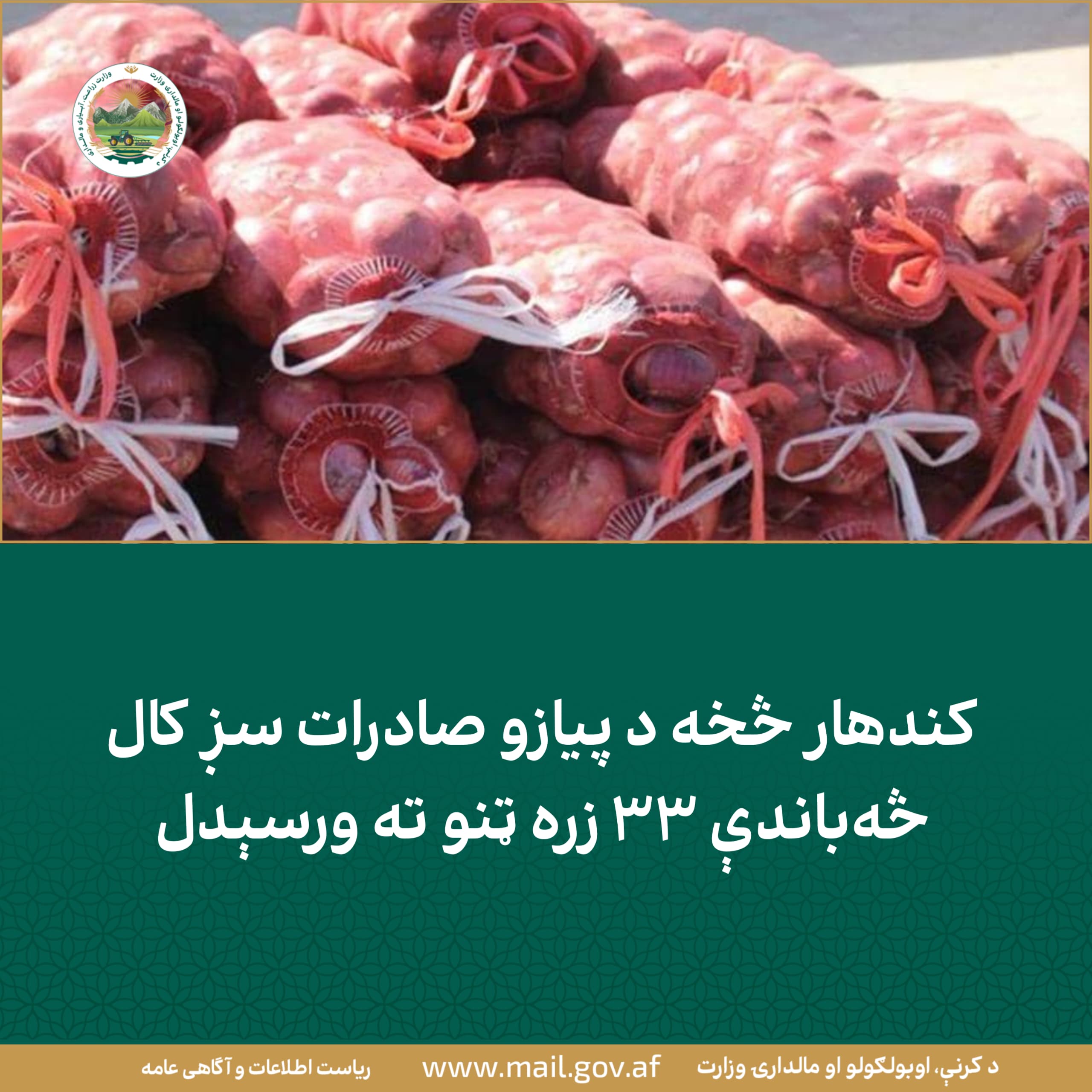 کندهار څخه د پیازو صادرات سږ کال څهباندې ۳۳ زره ټنو ته ورسېدل