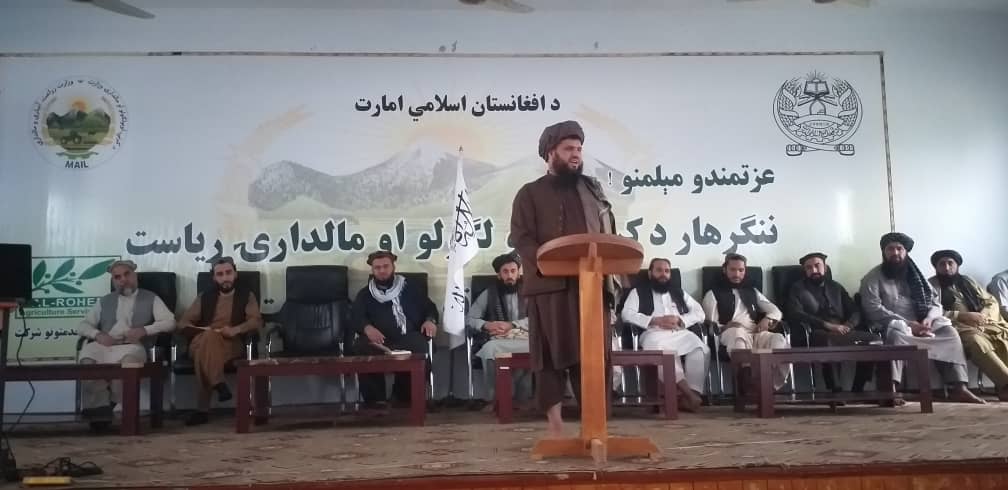 د ننګرهار کرنې ریاست کارکوونکو ته د ظرفیت لوړونې په موخه روزنیز ورکشاپ پیل شو
