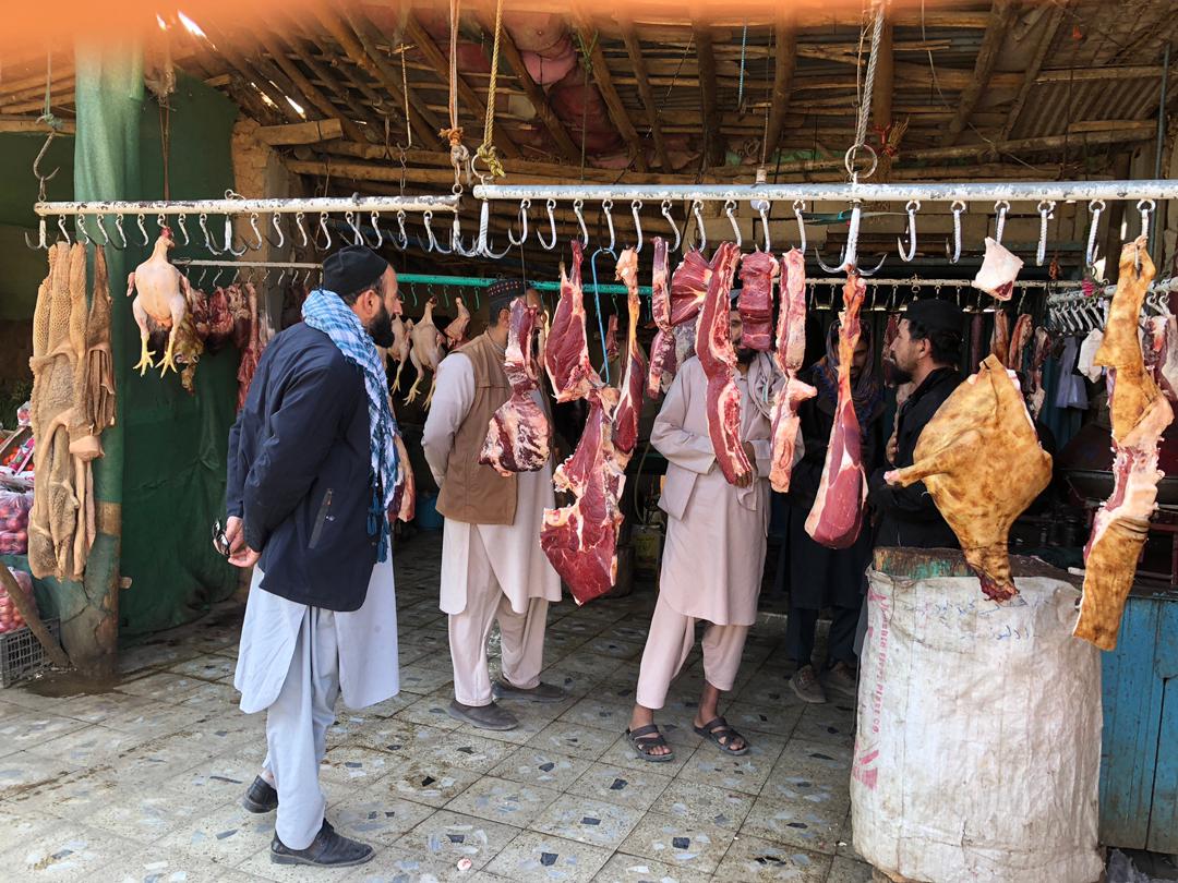نظارت و جمعآوری ادویه تاریخ گذشته در ولسوالیهای موسهی و چهار آسیاب