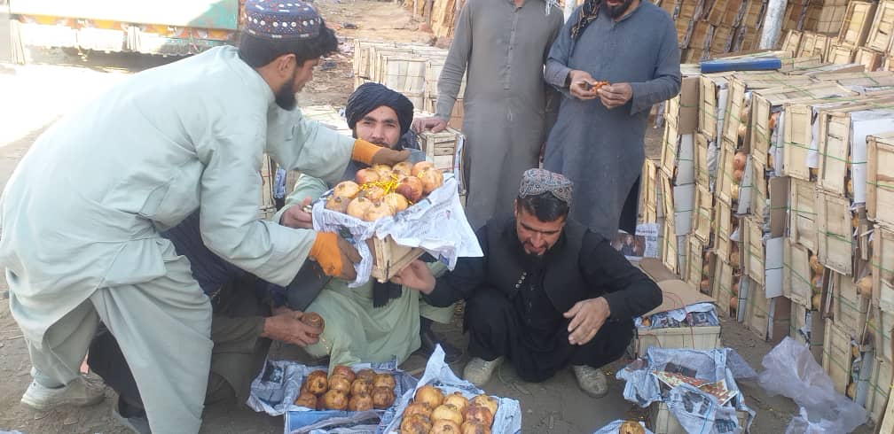 آموزش باغداران ولسوالی تگاب در بخش بازاریابی و فروش محصول انار