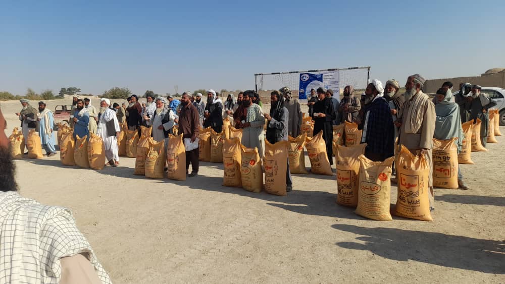 په فراه کې پر سلګونو بزګرانو کیمیاوي سره ووېشل شوه