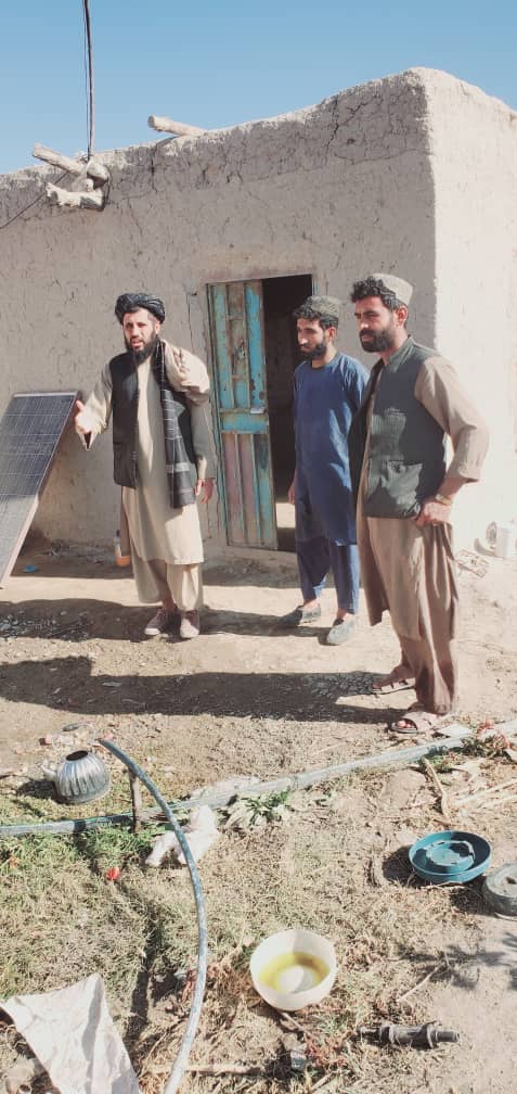 روزګان کې دغوښینو چرګانو د فارمونو څخه څارنه وشوه