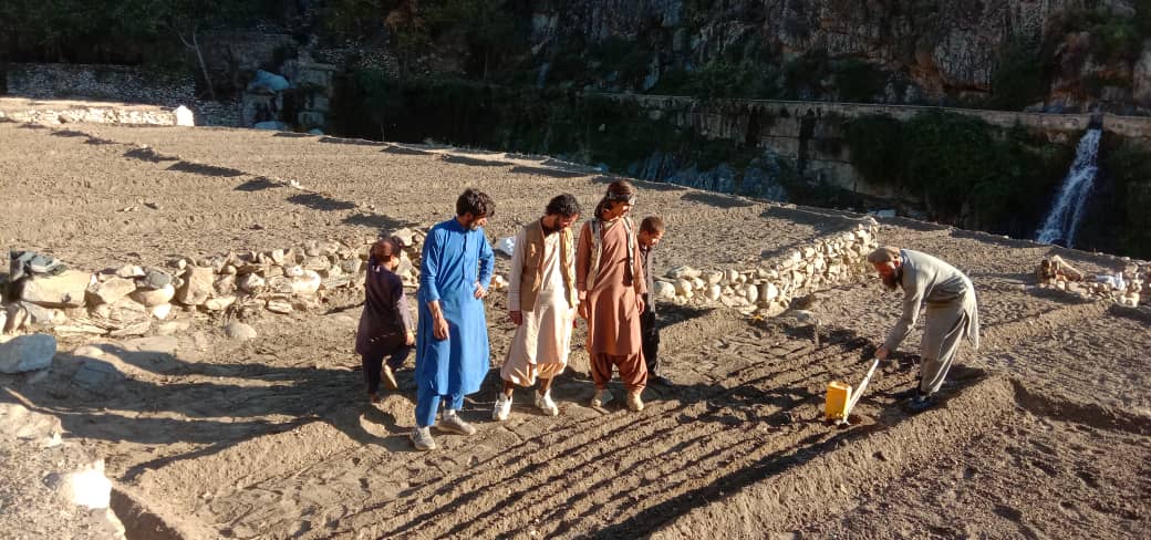 نورستان کې د غنمو ١٢ ننداریزې کروندې جوړېږي