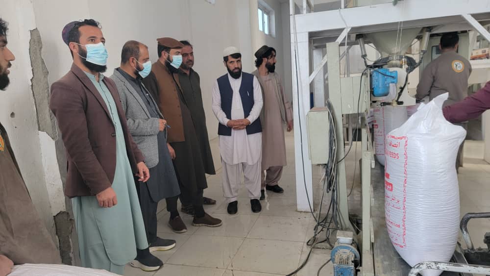 ننګرهار کې دچرګانو ددانو تولیدي فابریکو چارواکو ته لازمې سپارښتنې وشوې