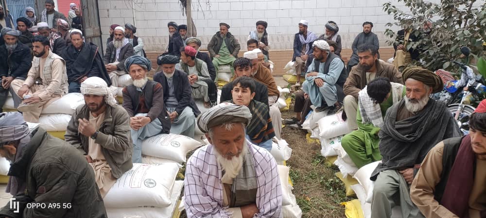 آغاز روند توزیع تخم بذری و کود کیمیاوی برای دهقانان ولسوالی ینگیقلعه تخار