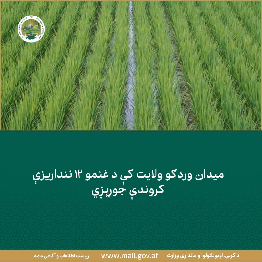 د ورځ مهمی خبری