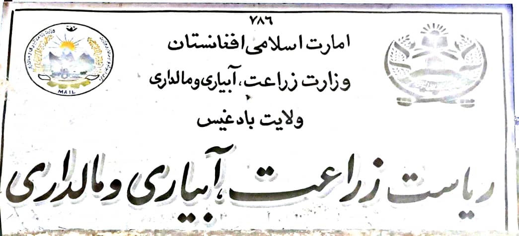 بررسی کلینیکهای صحت حیوانی در ولایت بادغیس توسط هیئت وزارت زراعت