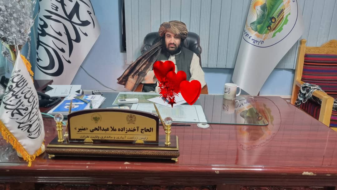 جلسه هماهنگی ریاست زراعت هرات با مدیران ولسوالیها برگزار شد