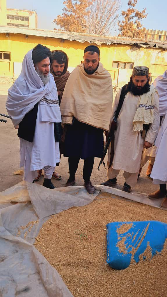 د کابل مرکزي سیلو کې د غنمو د تخلیې بهیر څارنه