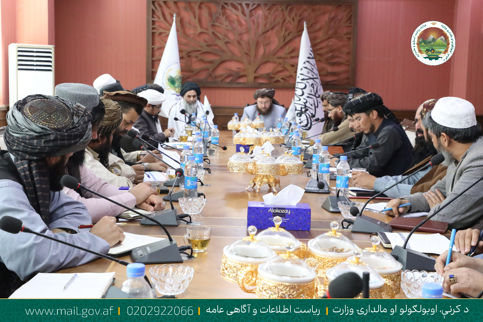 د بودیجې لګښت او د پرمختیايي پروژو پلي کولو بهیر ارزونه