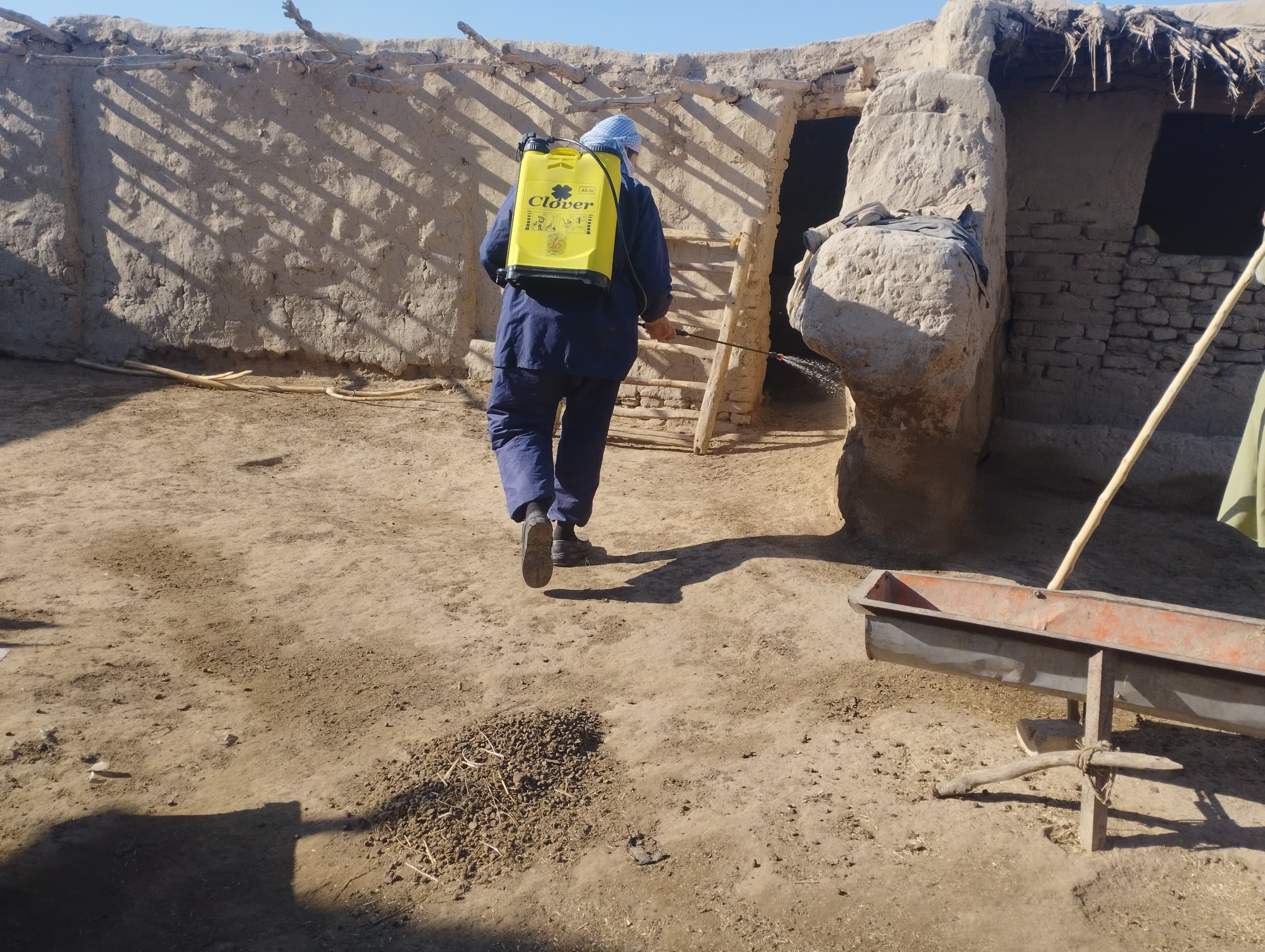 ادویهپاشی طویلهها برای جلوگیری از تب خوندهنده کانگو در ولسوالی خانقاه جوزجان