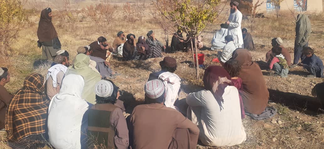 زابل کې د بڼونو خوندیتوب په پارهڅې؛ سلګونه بڼونه خوندي شول