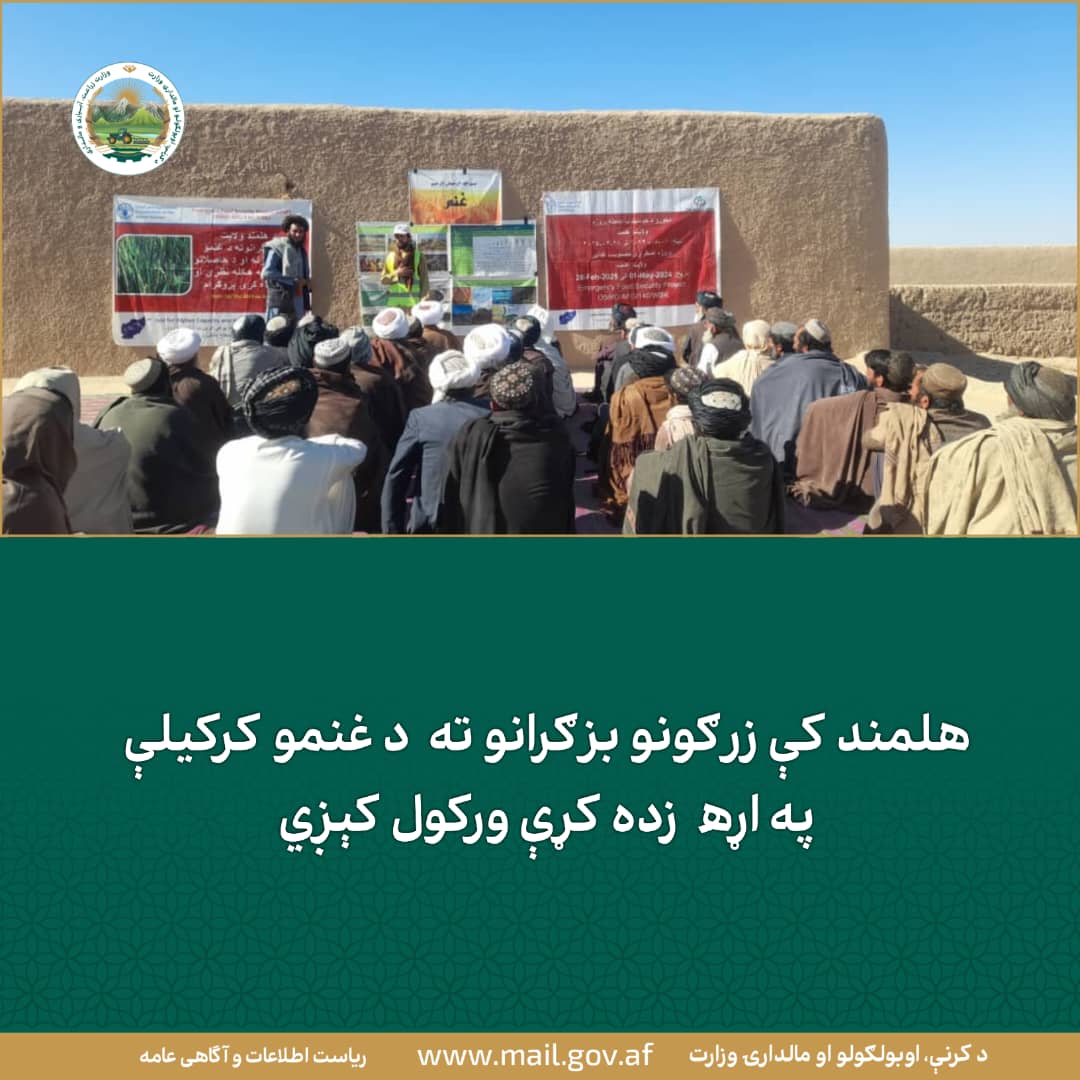 د ورځ مهمی خبری