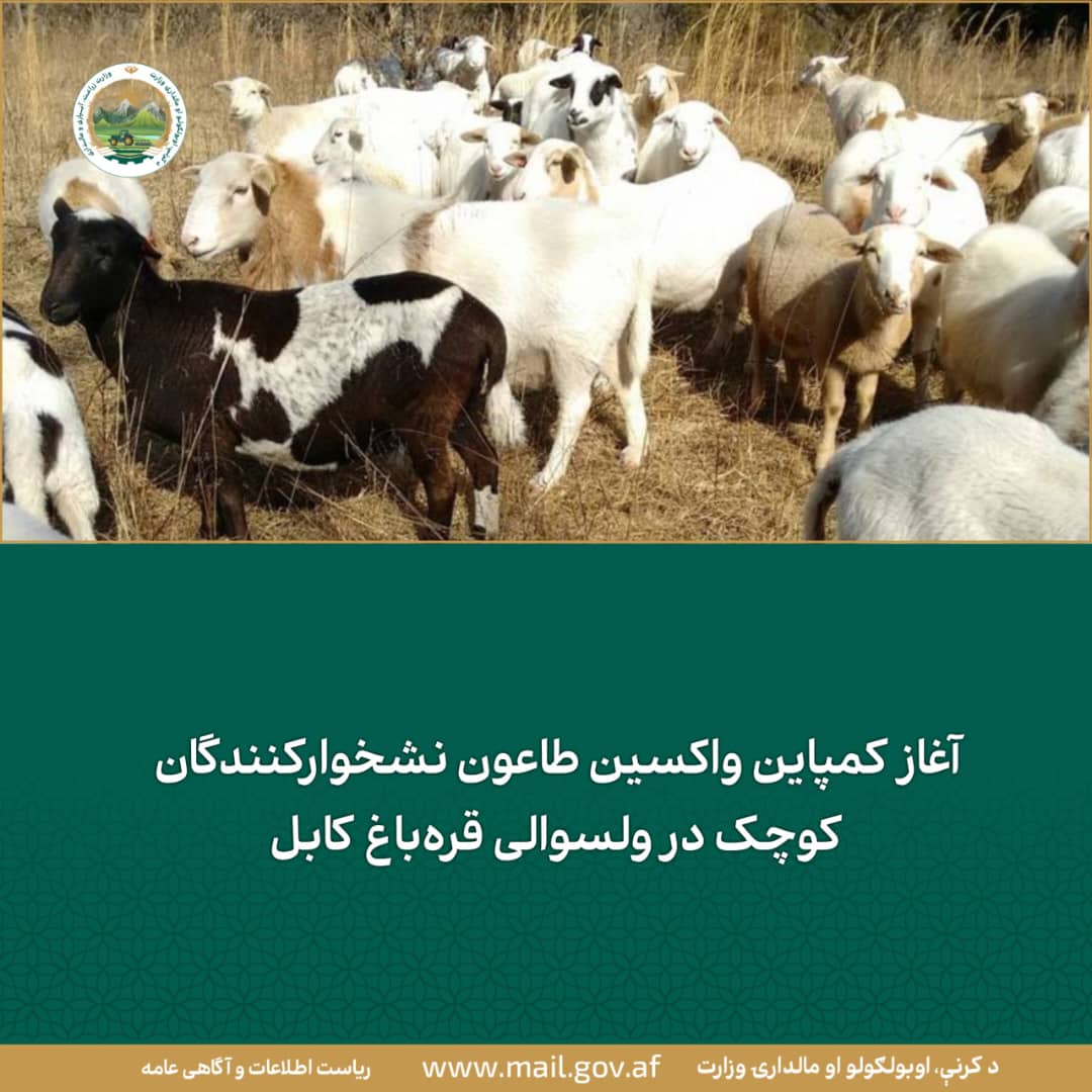 خبرهای مهم روز
