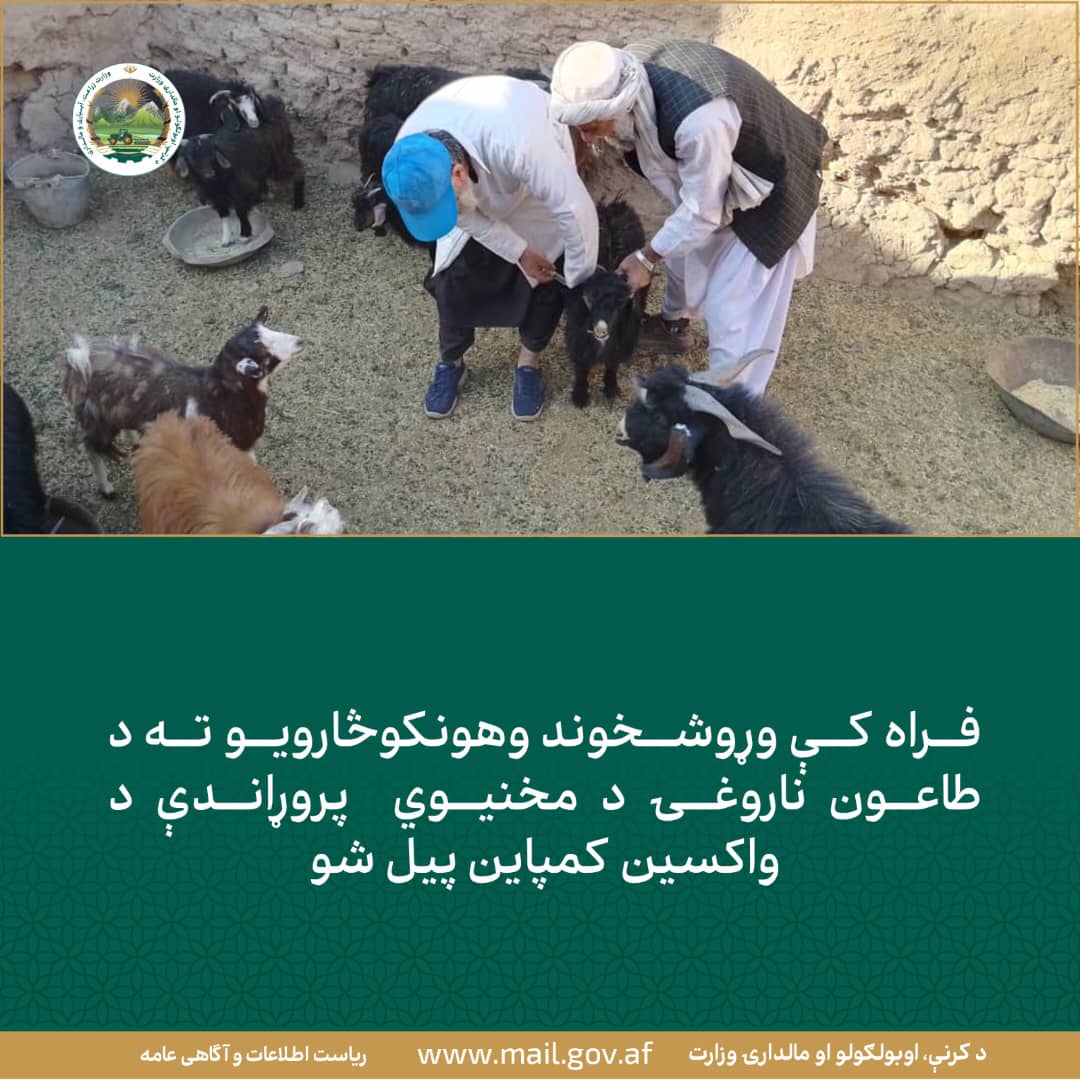 د ورځ مهمی خبری