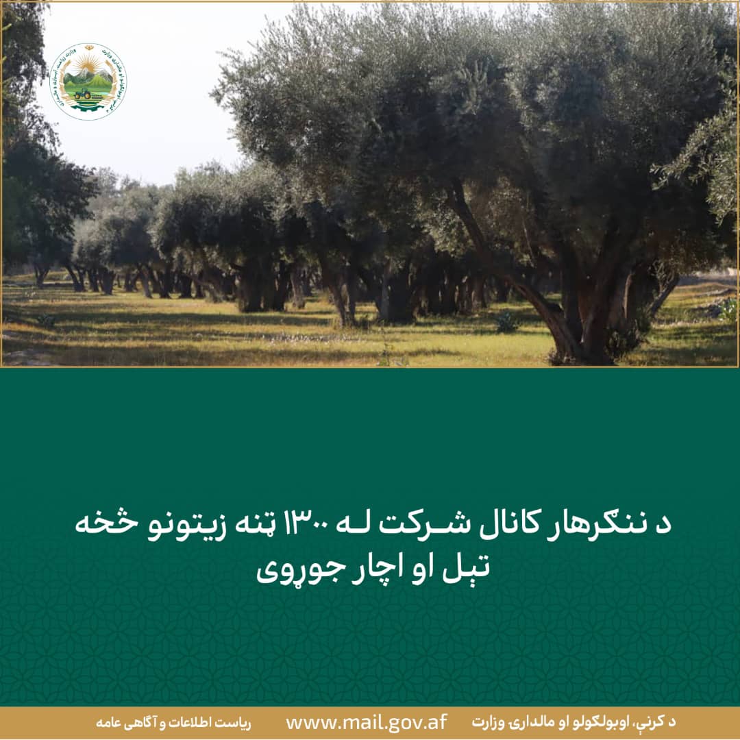 د ورځ مهمی خبری