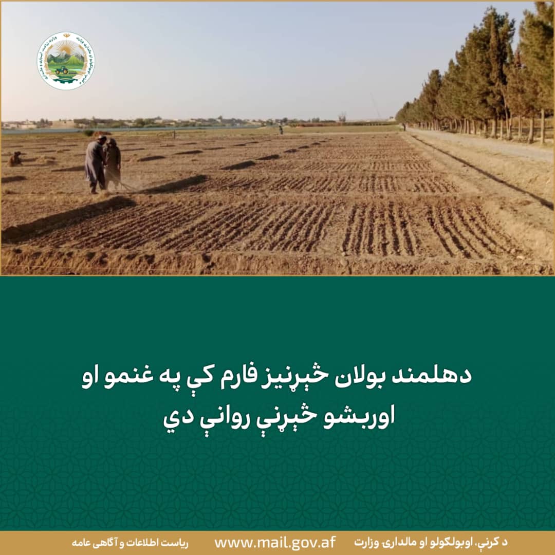 د ورځ مهمی خبری