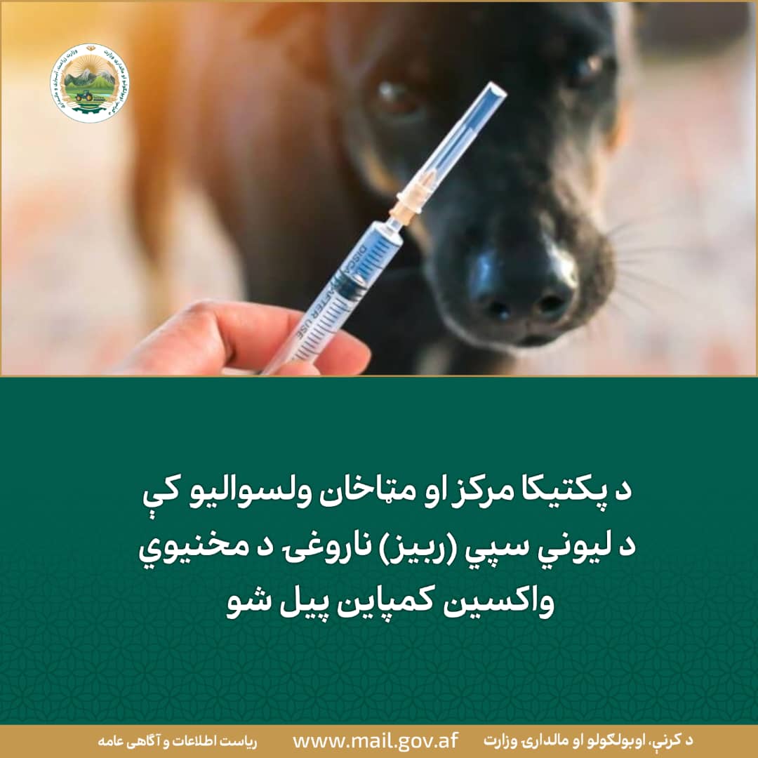د ورځ مهمی خبری