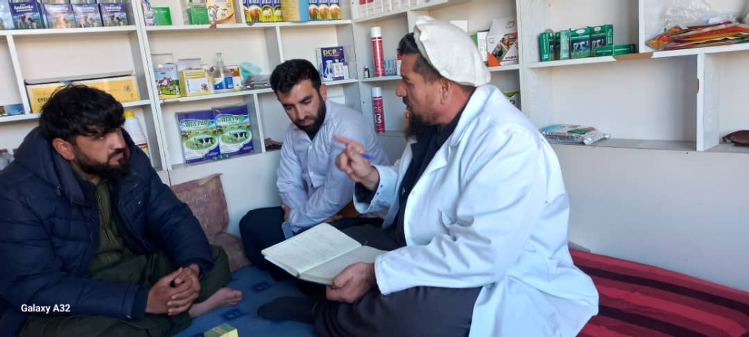 نظارت و بررسی محصولات حیوانی و کلینیکهای صحت حیوانی در ولایت کاپیسا