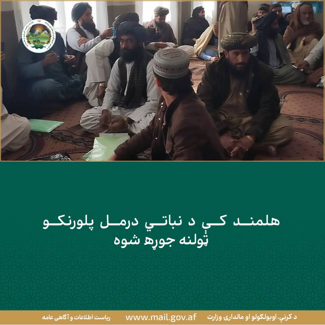 د ورځ مهمی خبری