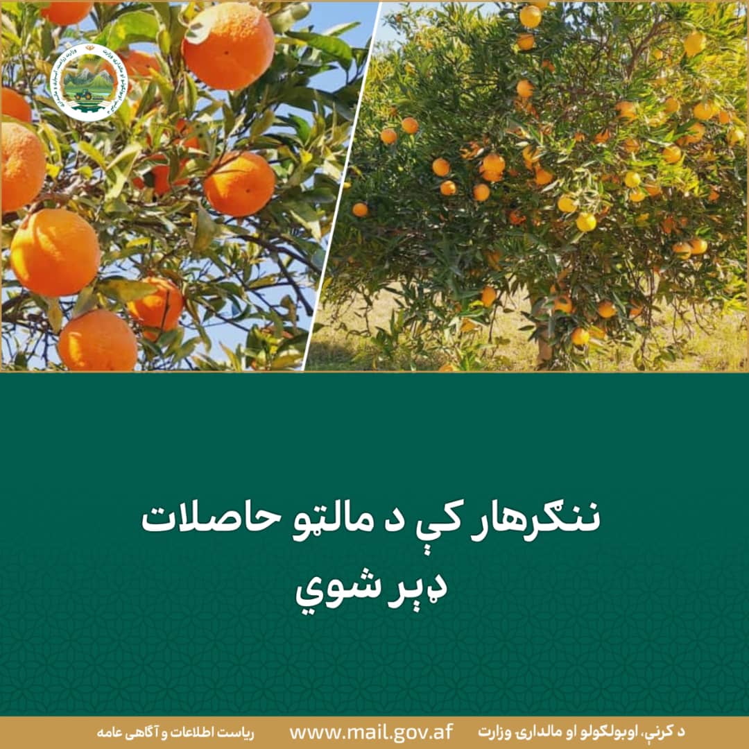 د ورځ مهمی خبری