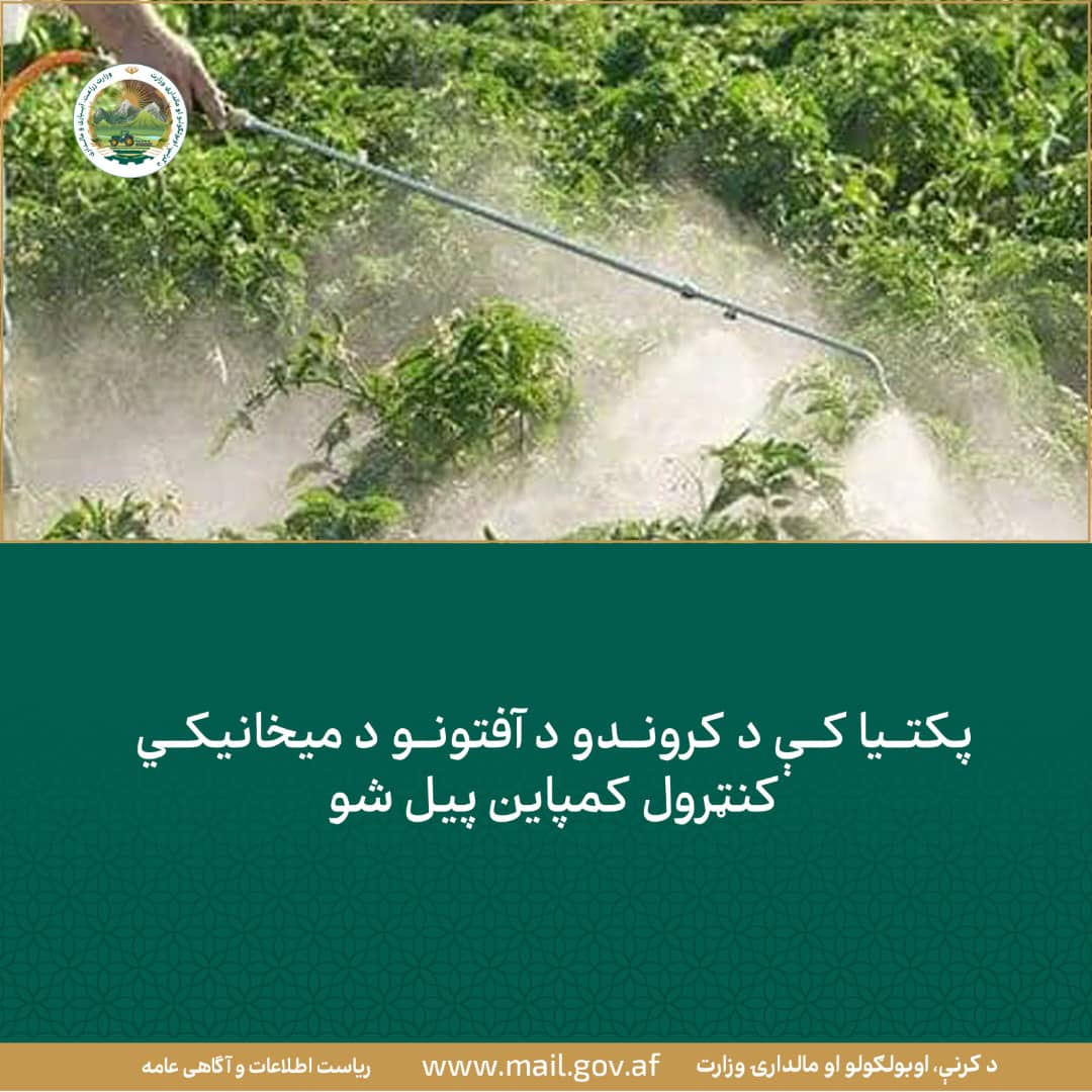 د ورځ مهمی خبری