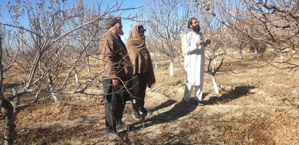 د کابل خاکجبار کې د بڼونو خوندیتوب په پارهڅې