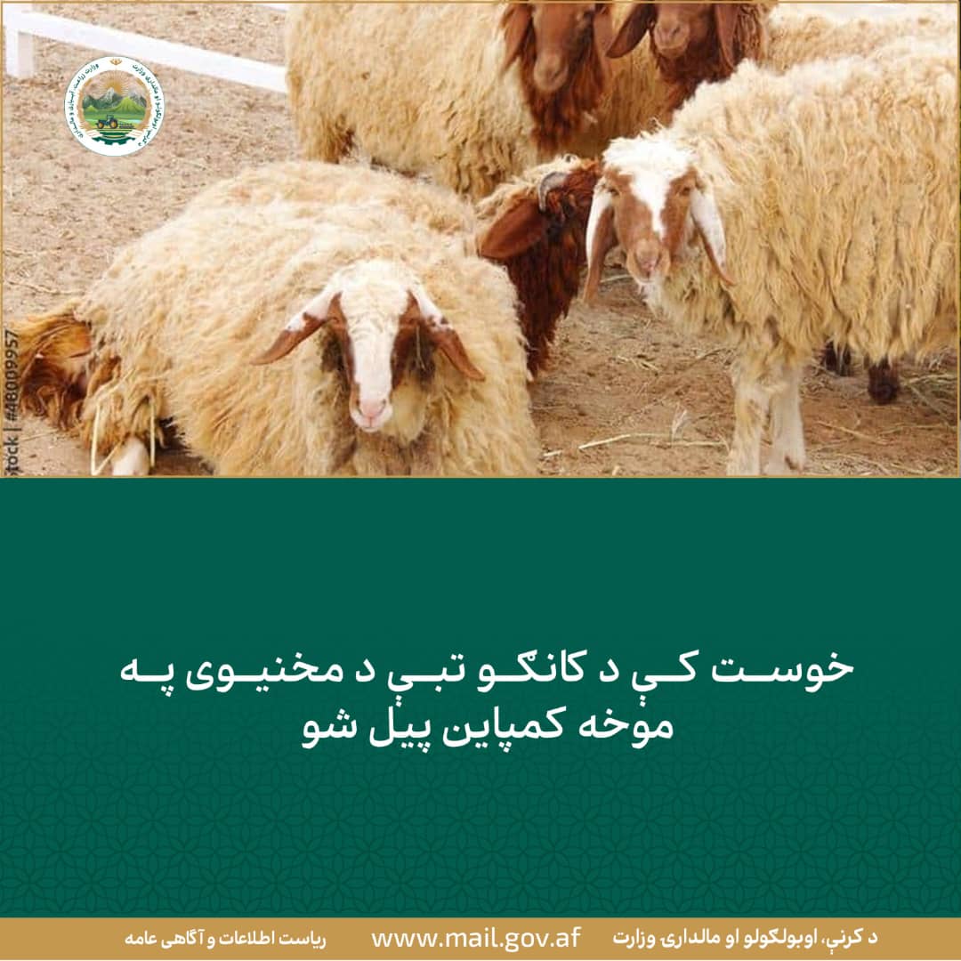 د ورځ مهمی خبری