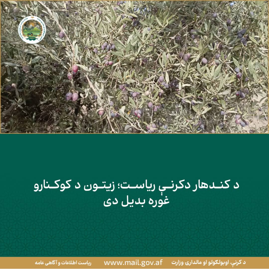 د ورځ مهمی خبری