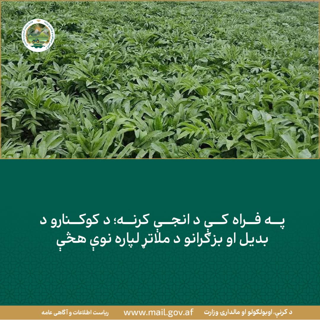 د ورځ مهمی خبری