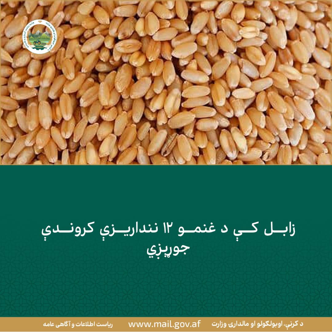 د ورځ مهمی خبری