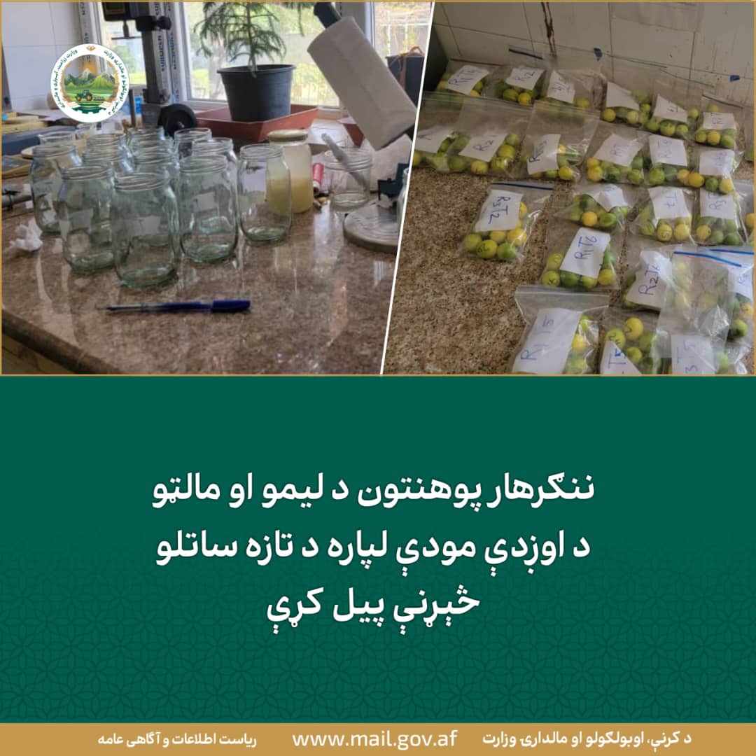 د ورځ مهمی خبری
